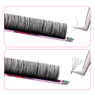 Black Cashmere Lashes