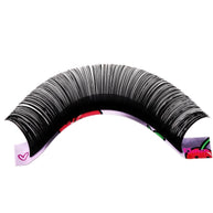 Black Cashmere Lashes